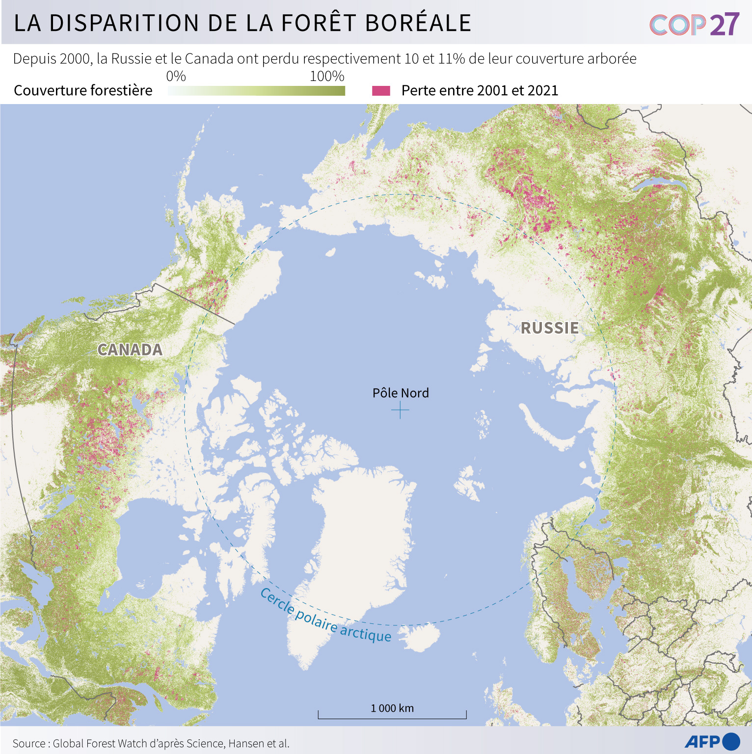 La disparition de la forêt boréale - Sophie Ramis, Valentin Rakovsky - AFP