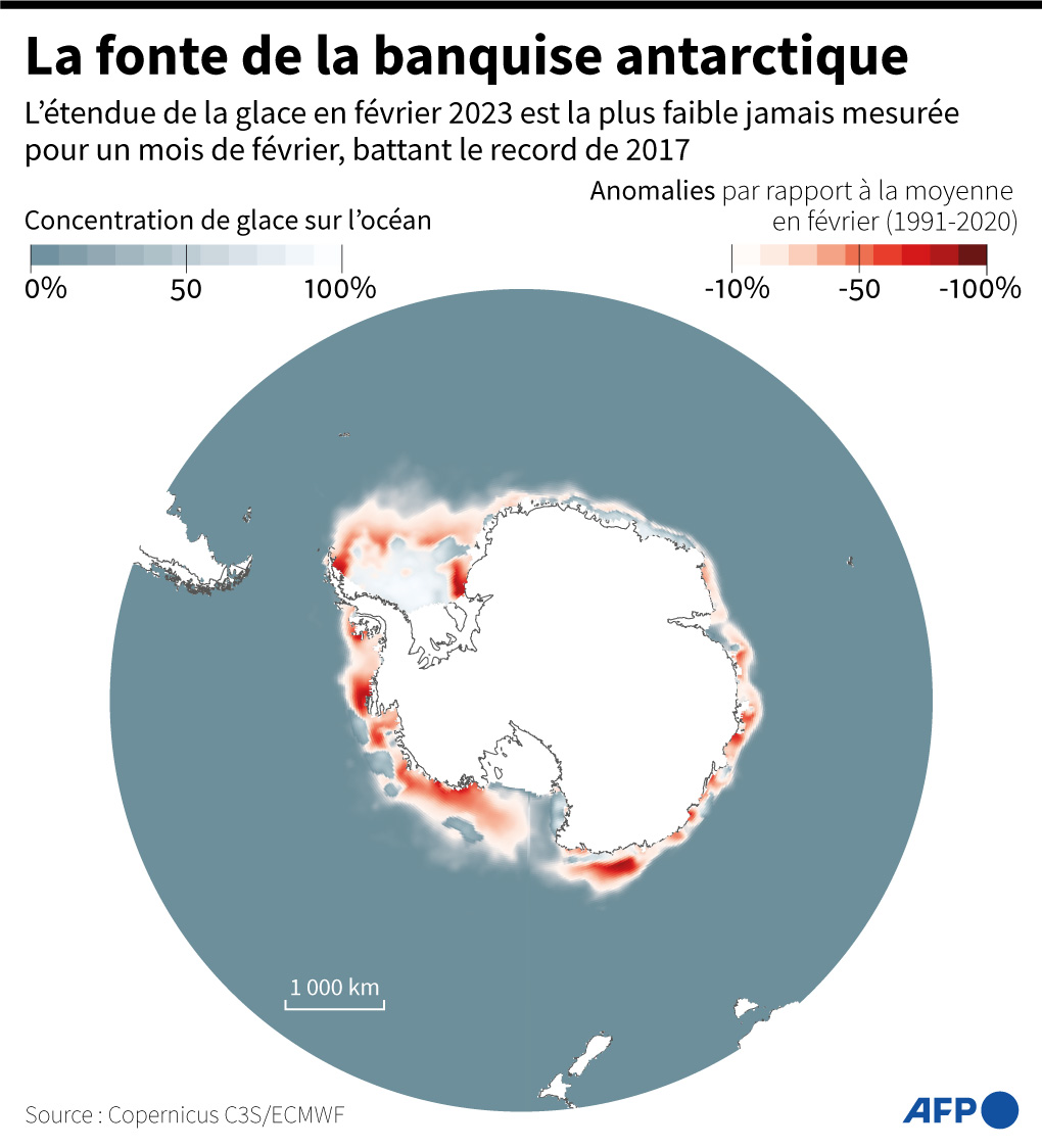 Etendue de la banquise antarctique mesurée en janvier 2023, et anomalies par rapport à la moyenne en janvier (1991-2020)