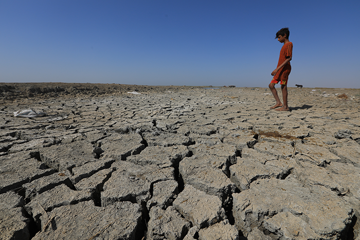 Changement climatique