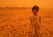 Bedouin shepherds whose animals were banned from entering the Najaf governorate - Qassem al-KAABI / AFP
